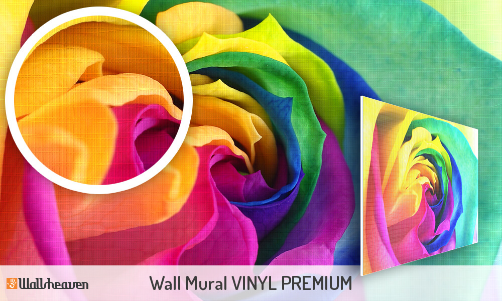 Wall murals Vinyl Premium