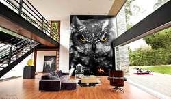 Owl - The Great Horned Owl