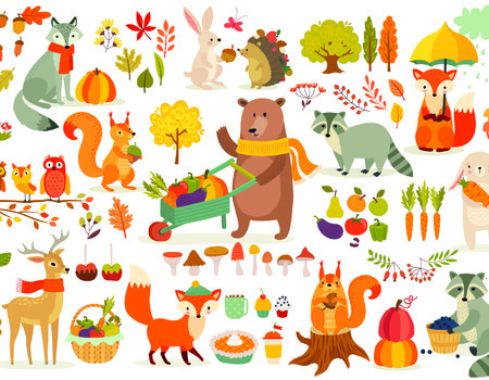 ANIMAL Wall murals