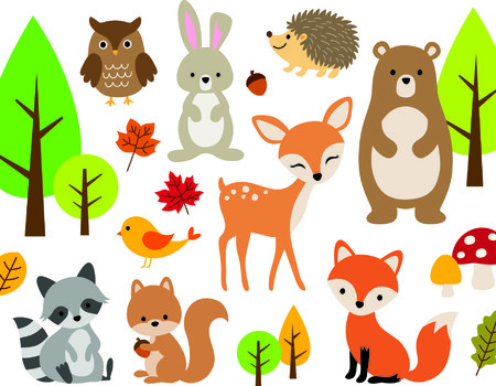 ANIMAL Wall murals