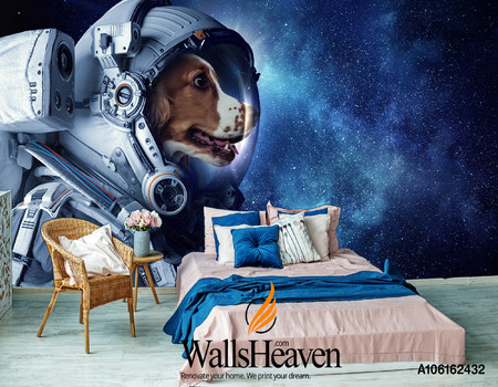 COSMOS Wall murals