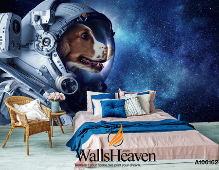 COSMOS Wall murals