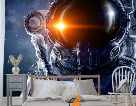 COSMOS Wall murals
