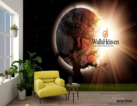 COSMOS Wall murals
