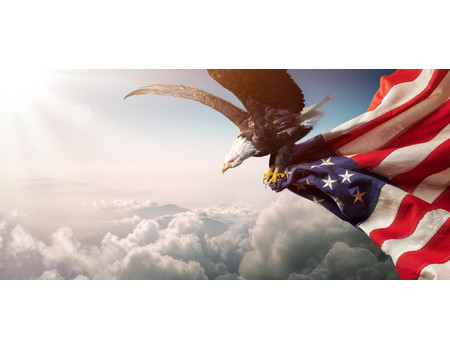 EAGLE Wall murals