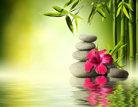 FLOWERS Wall murals