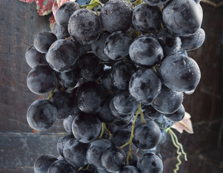 FOODS Wall murals