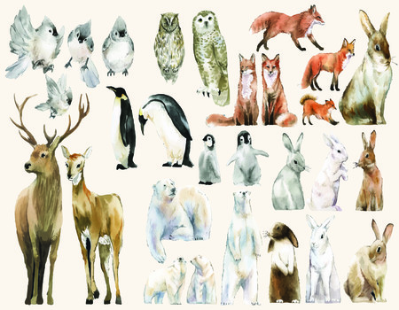 FOR-KIDS Wall murals