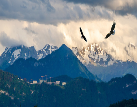 MOUNTAINS Wall murals