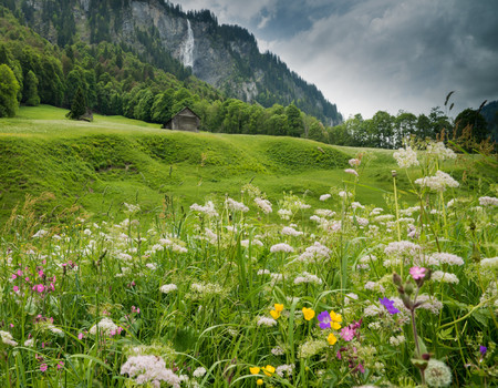 MOUNTAINS Wall murals