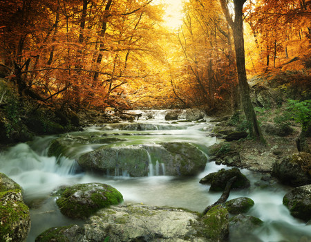 MOUNTAINS Wall murals