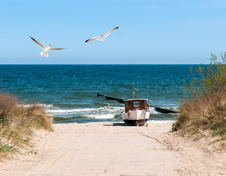 OCEAN&BEACH Wall murals