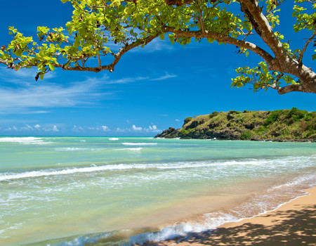 OCEAN&BEACH Wall murals