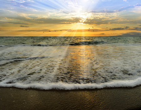 OCEAN&BEACH Wall murals