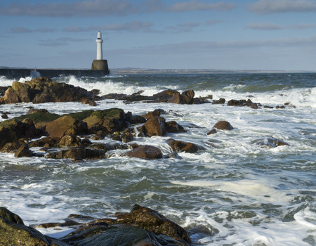 OCEAN&BEACH Wall murals