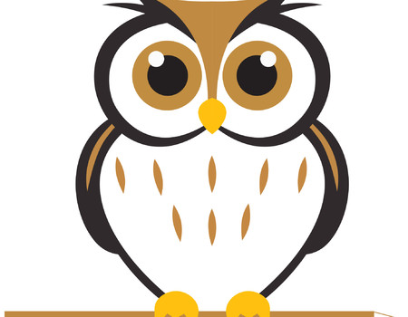 OWLS Wall murals