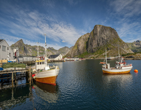 POPULAR Wall murals