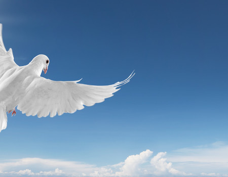 SKY Wall murals