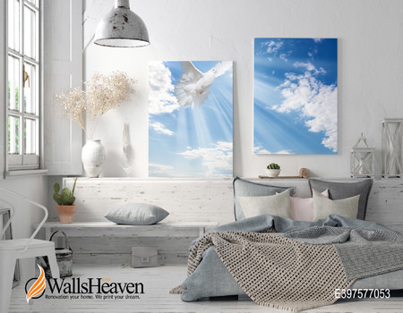 SKY Wall murals