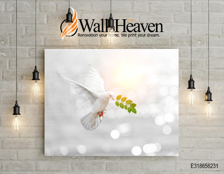 SKY Wall murals