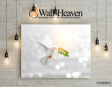 SKY Wall murals