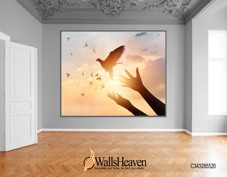 SKY Wall murals