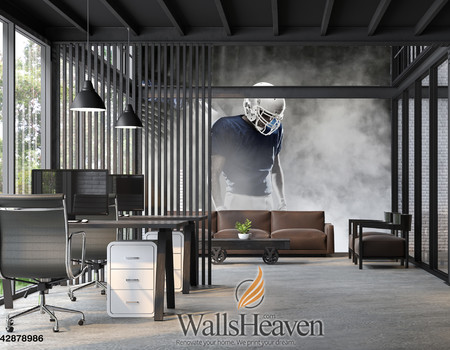 SPORTS Wall murals