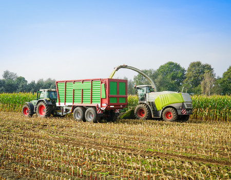 TRACTOR Wall murals