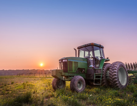 TRACTOR Wall murals